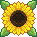 Sunflower(badgeAP).png