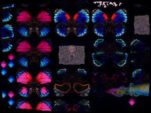 File:Glitched butterfly sector.png