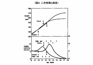 Human height.gif