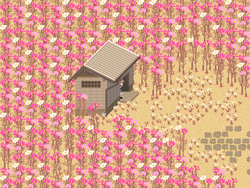 Field of cosmos.png