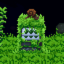 Moss Aquarium VM.png