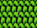 Silkworm forest leaves.png