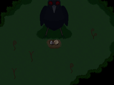 Crow Forest