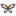Stained Glass Butterfly.png