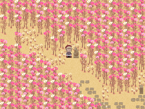 Field of cosmos rock.png