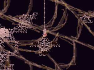 Spidernest5.png