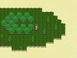 Forest world pic.png