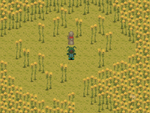 RapeseedField1.PNG