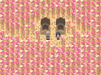 Shimako field of cosmos.png