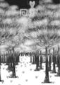 Forest World from the Official Manga