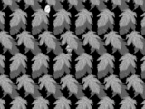 the mulberry leaves area in a monochromatic state