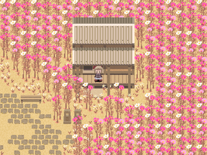 Field of cosmos house outside.png